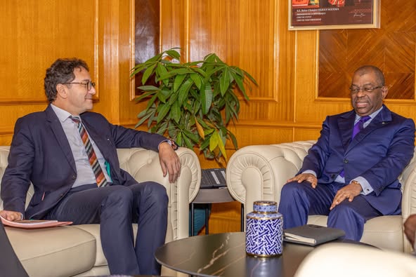 AUDIENCE ENTRE LE VICE-PRÉSIDENT DU GOUVERNEMENT ET L’AMBASSADEUR DE FRANCE