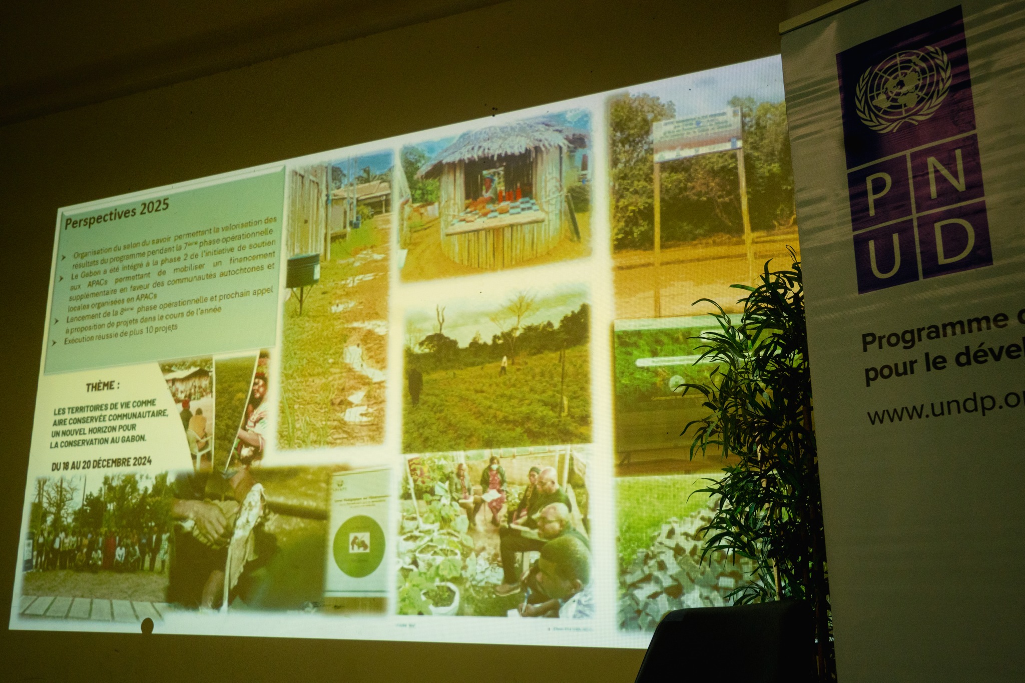 𝐋𝐞 𝐌𝐢𝐧𝐢𝐬𝐭𝐫𝐞 𝐝𝐞 𝐥’𝐄𝐧𝐯𝐢𝐫𝐨𝐧𝐧𝐞𝐦𝐞𝐧𝐭 𝐫𝐞𝐧𝐜𝐨𝐧𝐭𝐫𝐞 𝐥𝐞𝐬 𝐎𝐍𝐆 𝐛𝐞́𝐧𝐞́𝐟𝐢𝐜𝐢𝐚𝐢𝐫𝐞𝐬 𝐝𝐮 𝐏𝐫𝐨𝐠𝐫𝐚𝐦𝐦𝐞 𝐝𝐞 𝐌𝐢𝐜𝐫𝐨𝐟𝐢𝐧𝐚𝐧𝐜𝐞𝐦𝐞𝐧𝐭𝐬 𝐝𝐮 𝐏𝐍𝐔𝐃