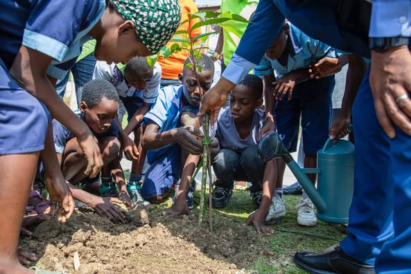 Célébration de la Journée internationale des forêts : L’engagement de CAFI pour le verdissement urbain de Libreville
