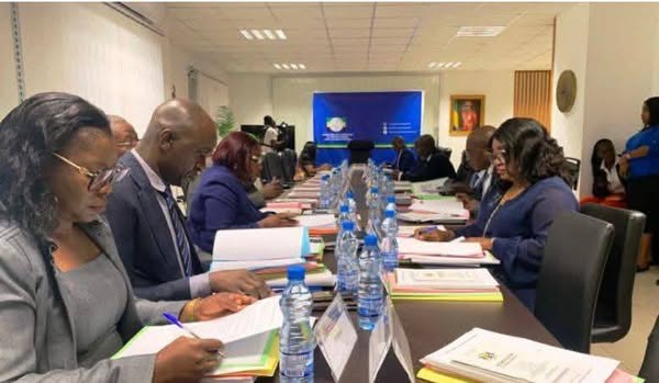 Lancement des travaux sur la réforme des partis politiques au Gabon