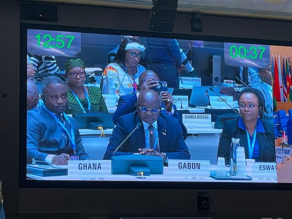 78e Assemblée Mondiale de la Santé