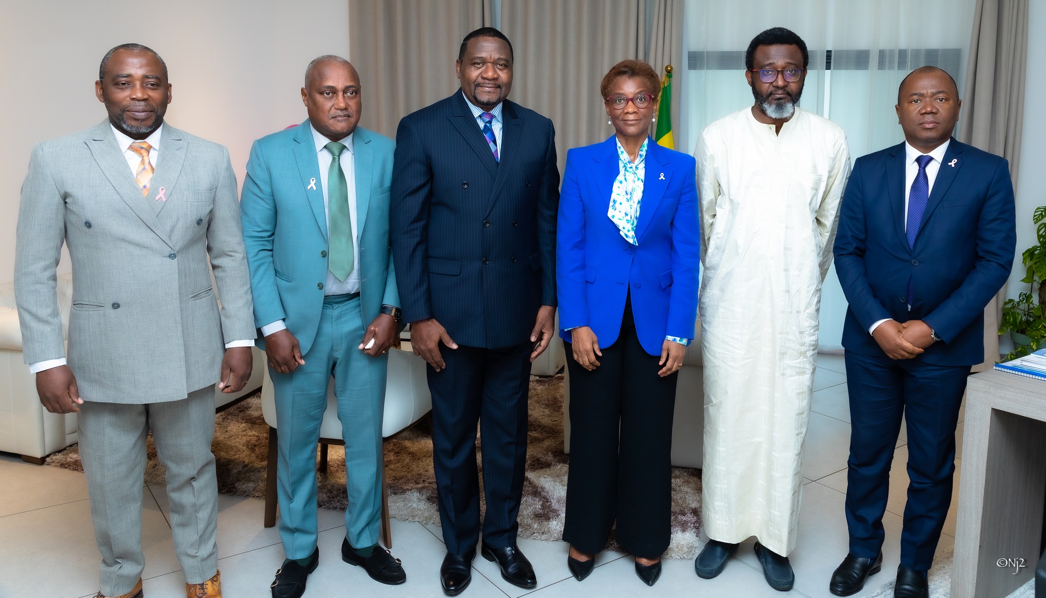 Afritac centre et le Gabon:coopération Renforcée sur le PIB, le Recensement et la Formation des Statisticiens