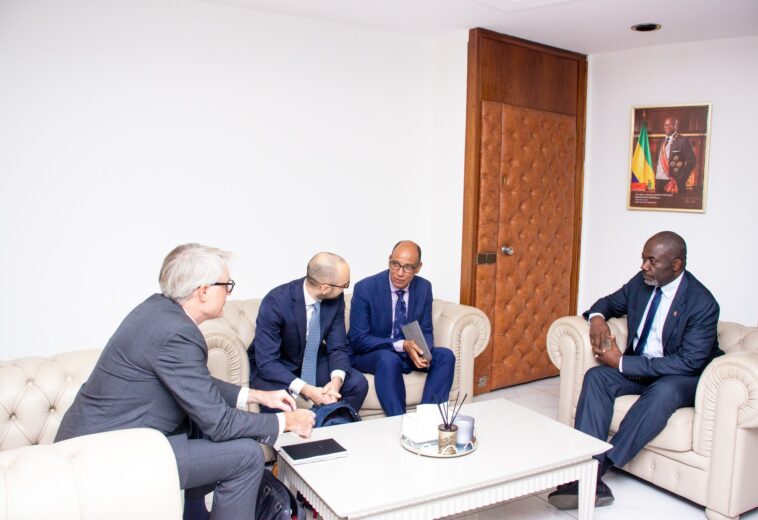 Transformation du Manganèse : Séance de travail entre le Ministre Nembe et le Groupe Eramet