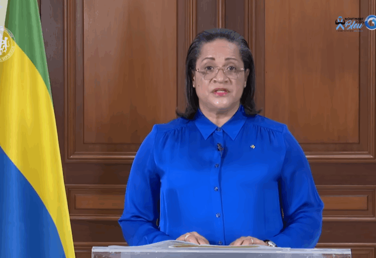 Intérim des membres du Gouvernement ayant présenté leur démission ce 14 novembre 2025