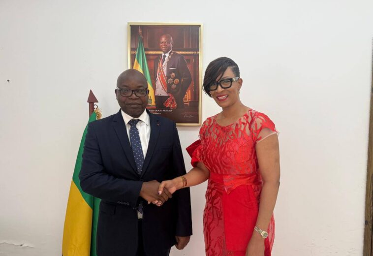 Habitat & Design : Vers une structuration de l’Architecture d’Intérieur au Gabon