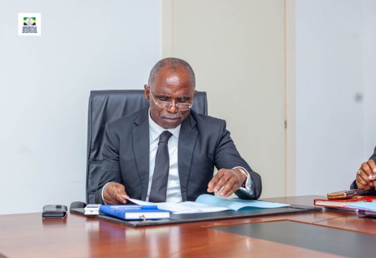 Réforme des Institutions : M. François Ndong Obiang fixe le cap de la stratégie quinquennale