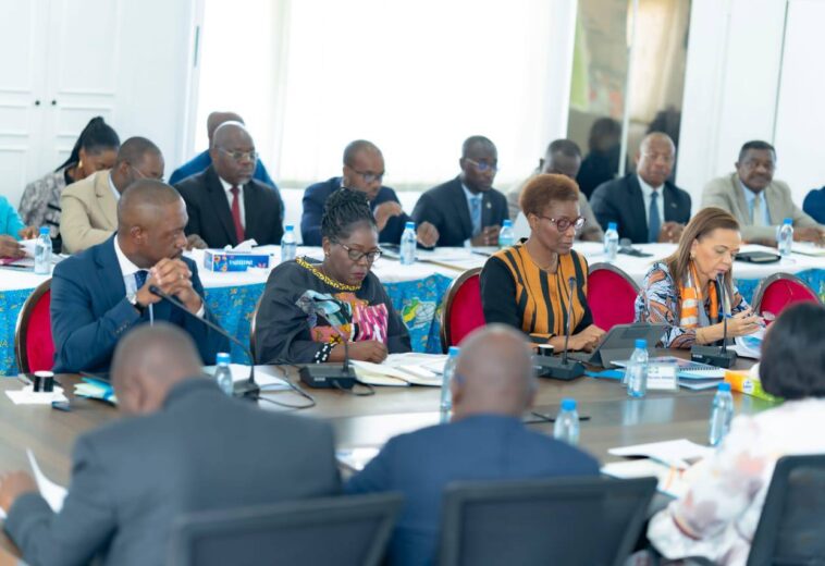 Développement : Le Gabon accélère la modernisation de ses statistiques avec le projet HISWACA