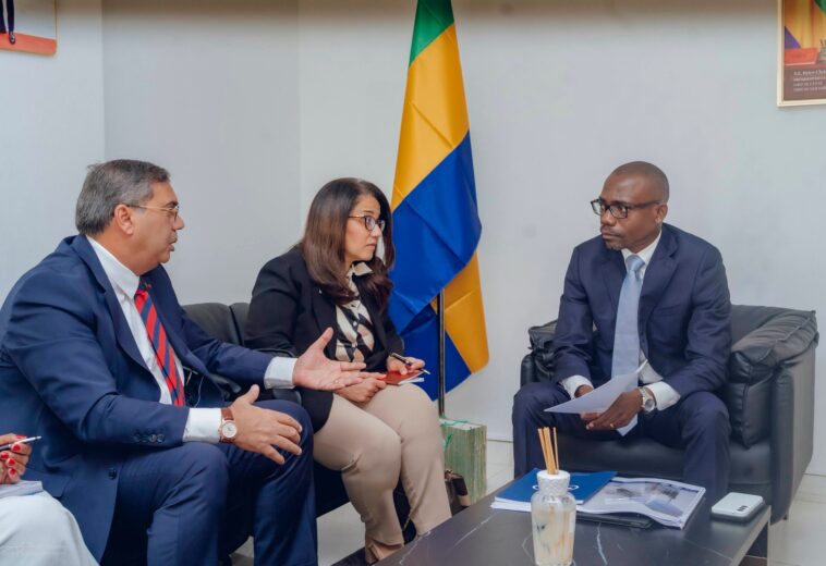 Coopération Gabon-Égypte : Vers un partenariat structuré pour le logement social