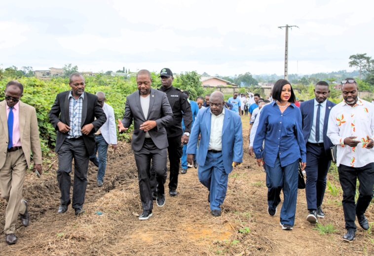 Souveraineté Alimentaire : Lancement d’une plantation expérimentale de manioc à l’INSAB