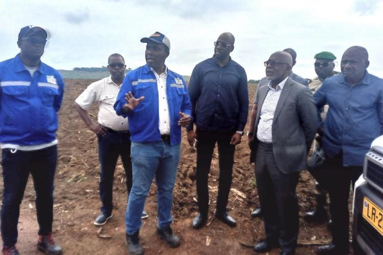 FILIÈRE SUCRIÈRE : LE GOUVERNEMENT ENGAGE LA RÉFLEXION POUR REDYNAMISER LES SUCRERIES DU GABON